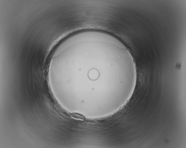 X0000115560488200912181621