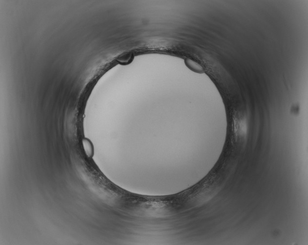 X0000115560492200912181621