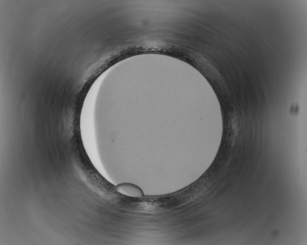 X0000115560496200912181620