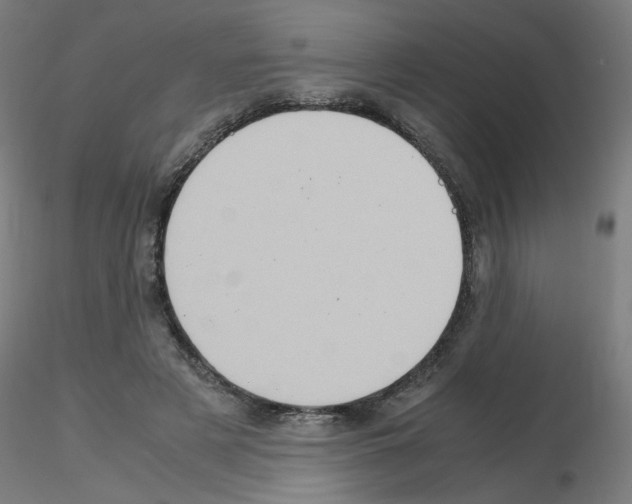 X0000115560497200912181620