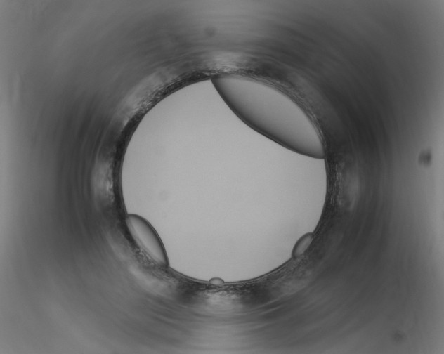 X0000115560500200912181620