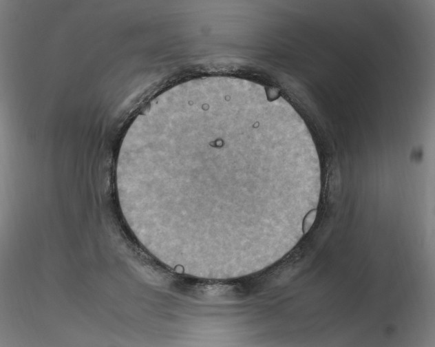 X0000115560501200912181620