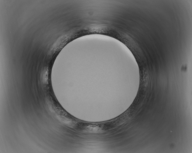 X0000115560502200912181620