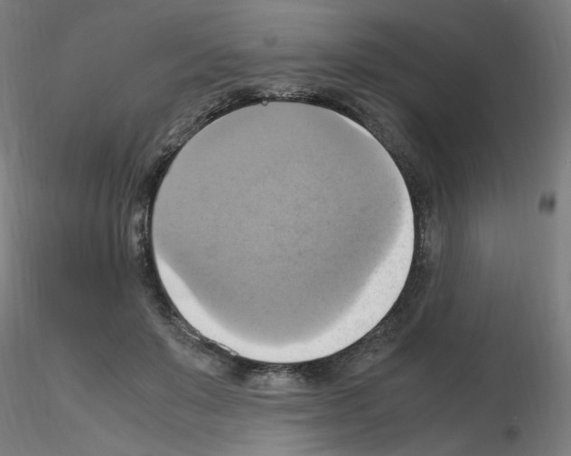 X0000115560503200912181620