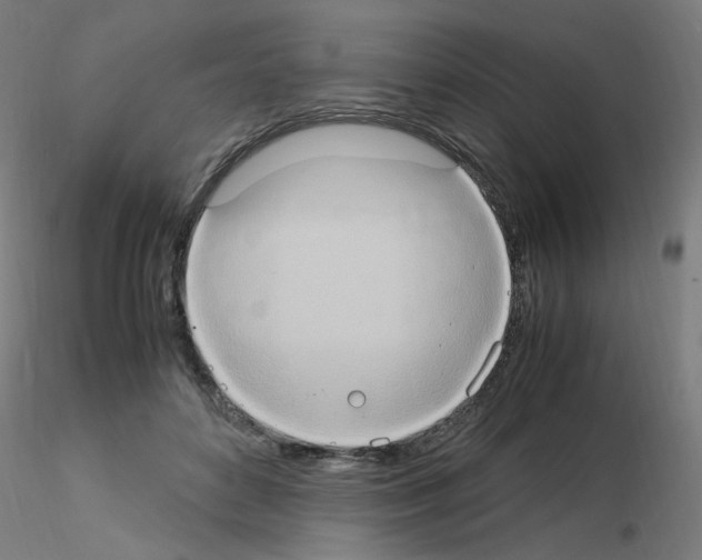 X0000115560504200912181620