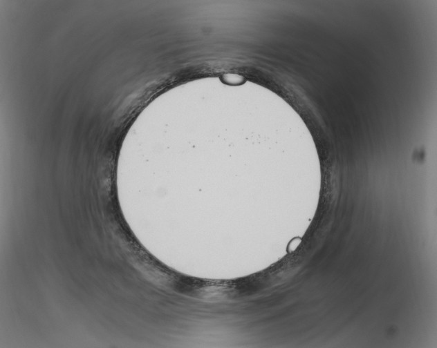 X0000115560505200912181620