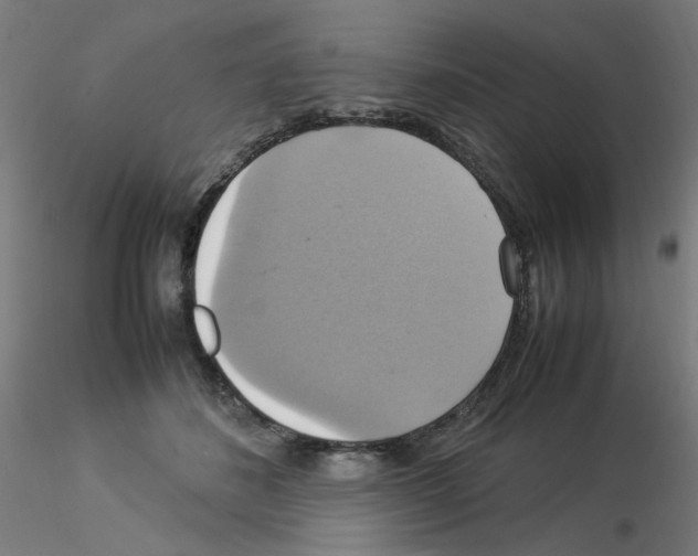 X0000115560508200912181620