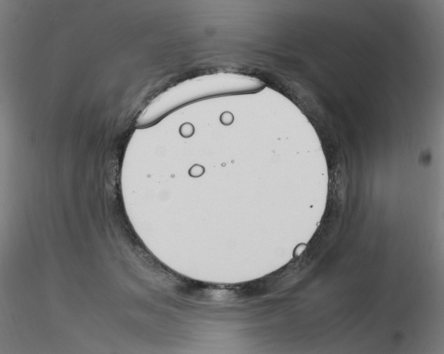 X0000115560509200912181620