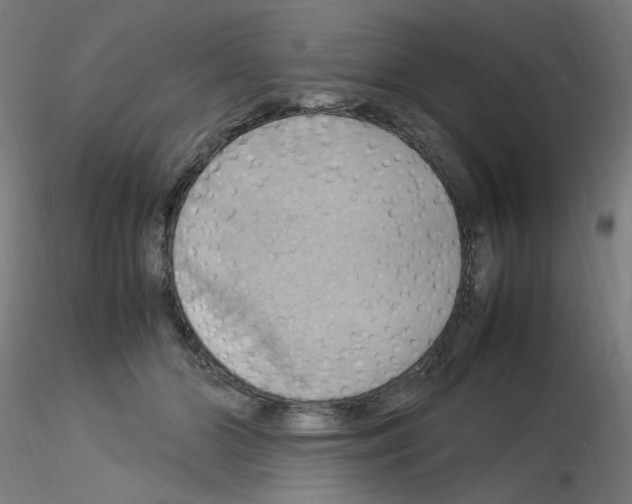 X0000115560510200912181620