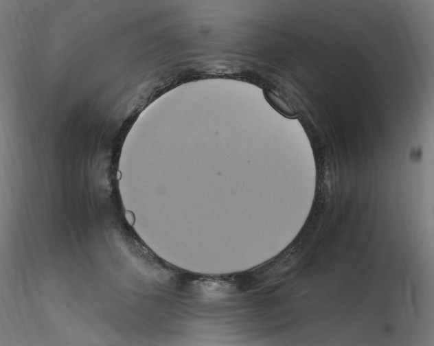 X0000115560512200912181620