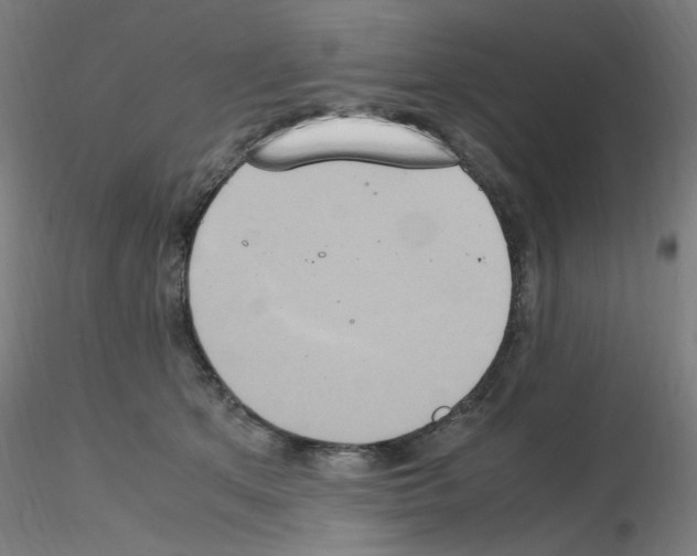 X0000115560513200912181620