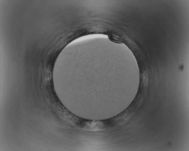 X0000115560517200912181620