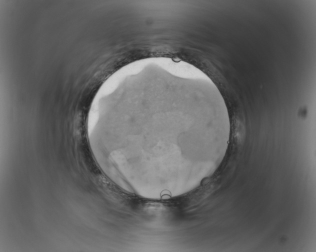 X0000115560519200912181620