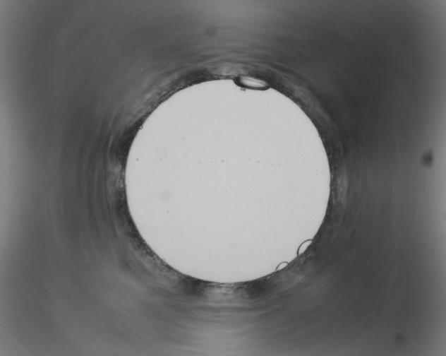 X0000115560521200912181620