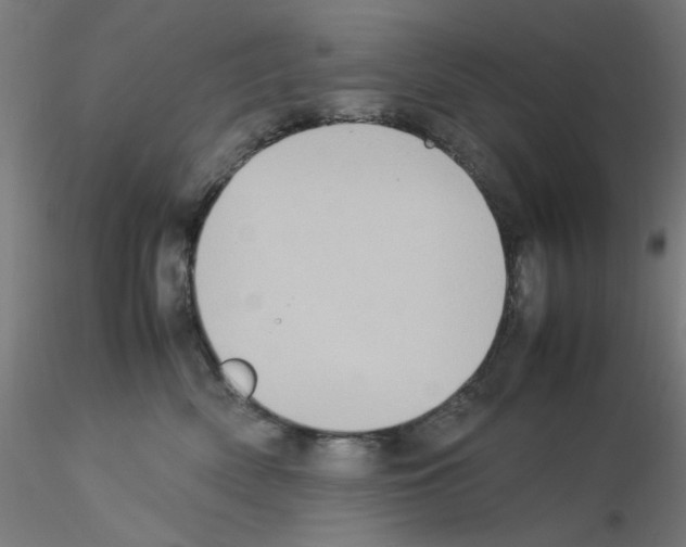 X0000115560522200912181620