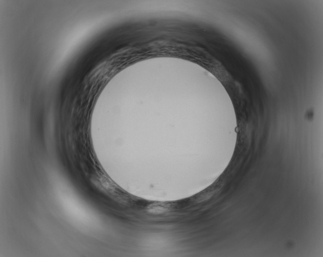 X0000115560526200912181620