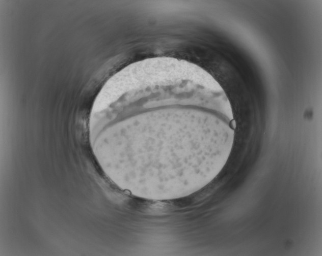 X0000115560527200912181620