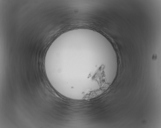 X0000115560528200912181620