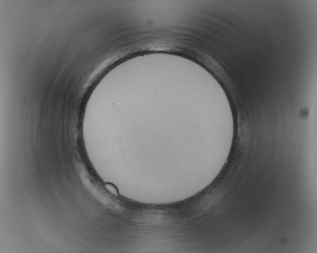 X0000115560530200912181619