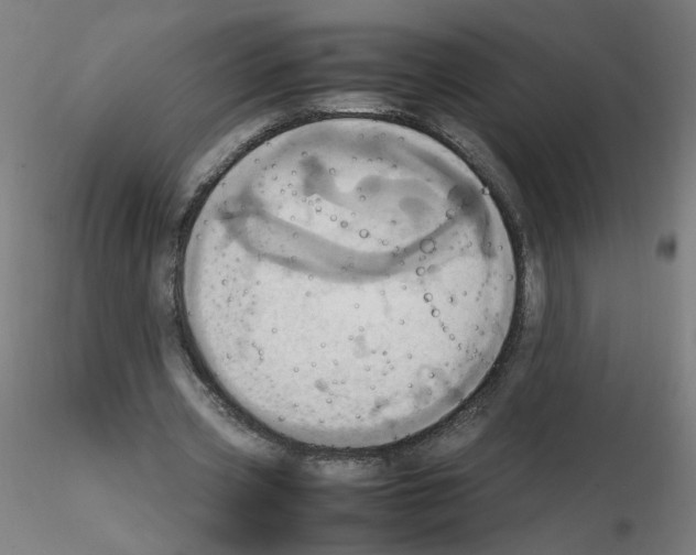 X0000115560533200912181619