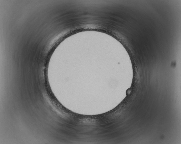 X0000115560535200912181619