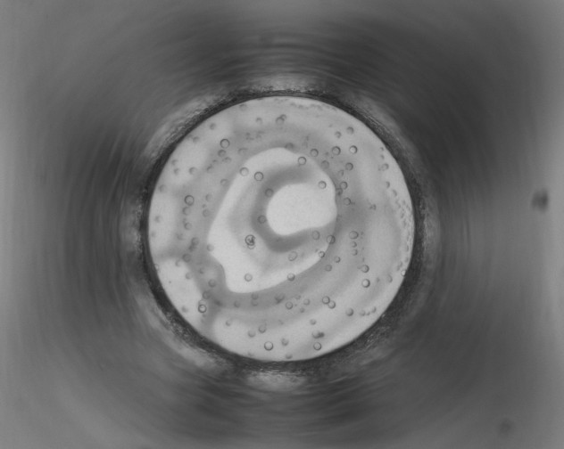 X0000115560537200912181619