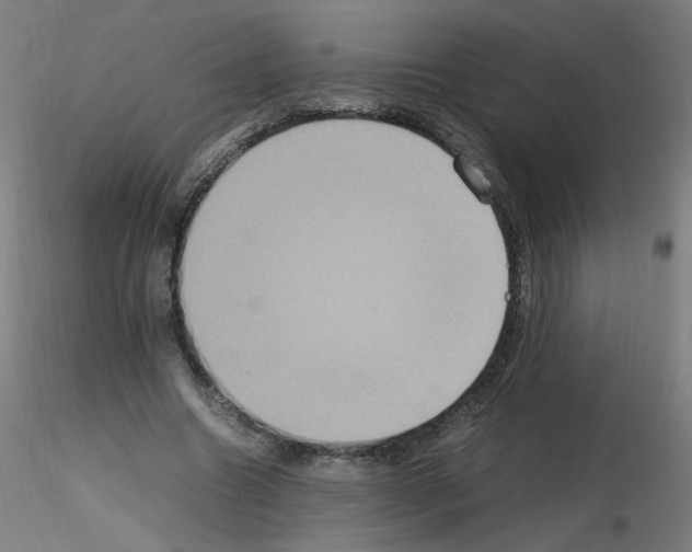 X0000115560538200912181619