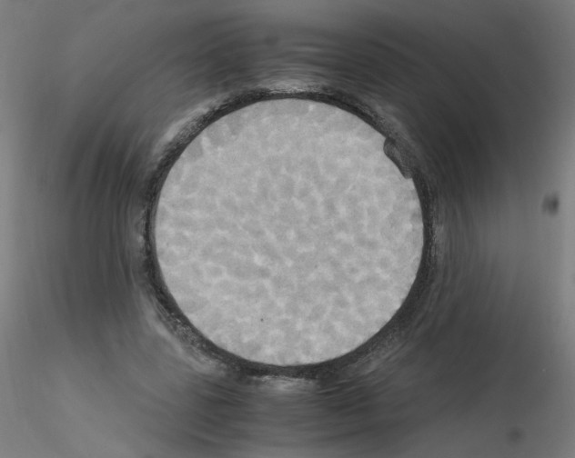 X0000115560539200912181619