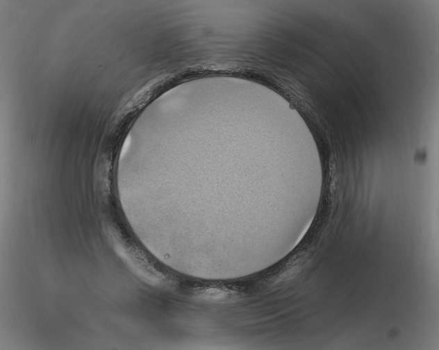 X0000115560542200912181619