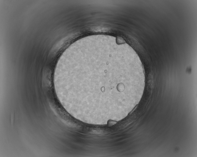 X0000115560547200912181620