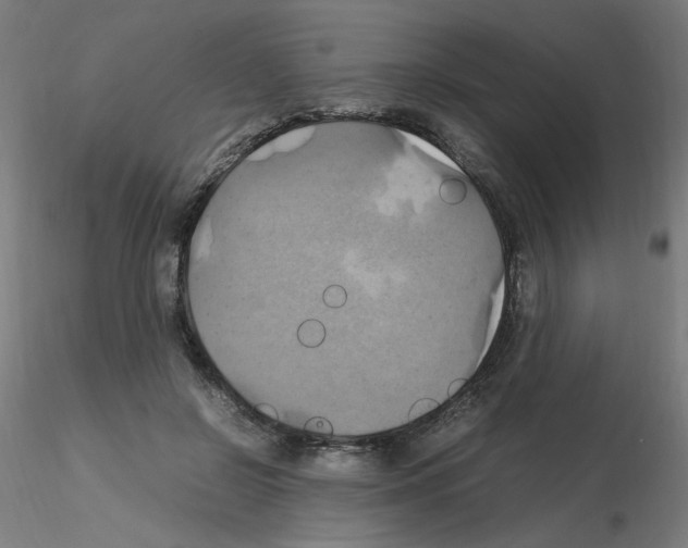 X0000115560550200912181620