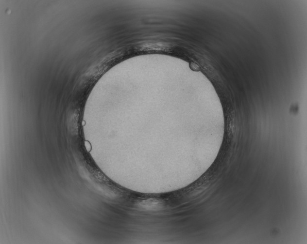 X0000115560551200912181620