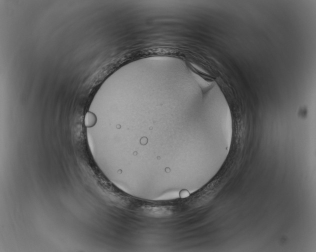 X0000115560553200912181620