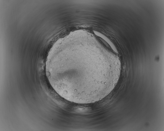 X0000115560555200912181620