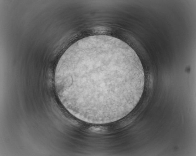 X0000115560557200912181620