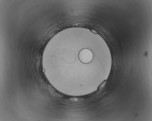 X0000115560558200912181620