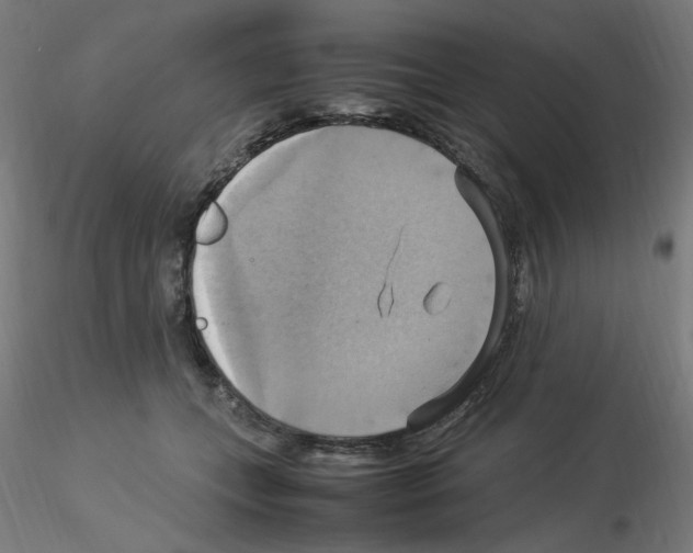 X0000115560559200912181620