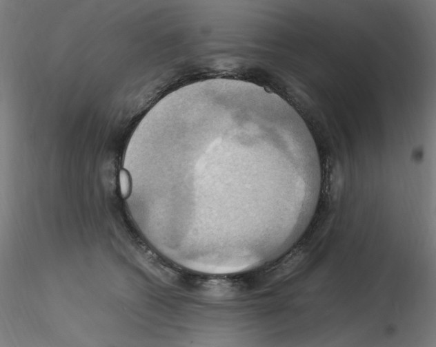 X0000115560562200912181620