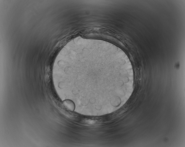 X0000115560563200912181620