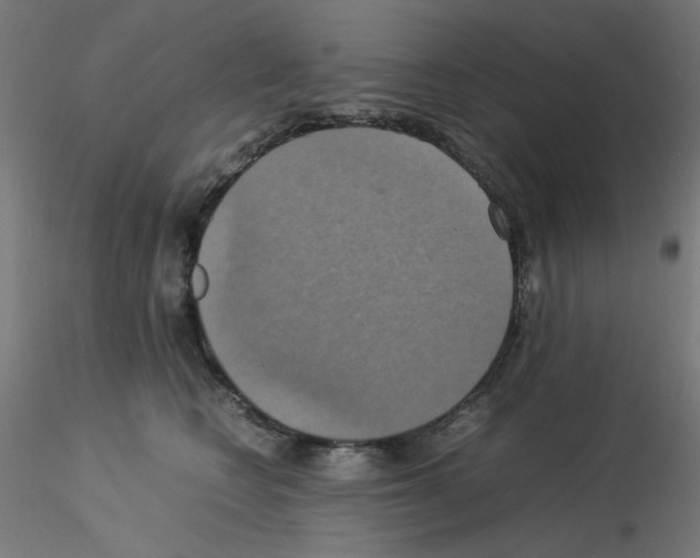 X0000115560566200912181620