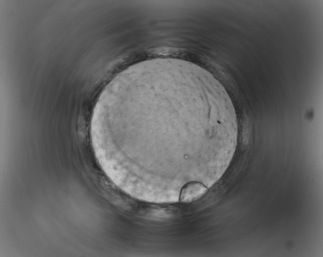 X0000115560569200912181620