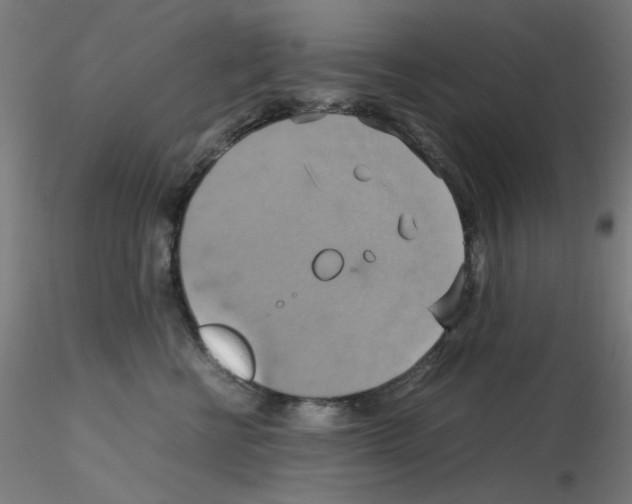 X0000115560570200912181620