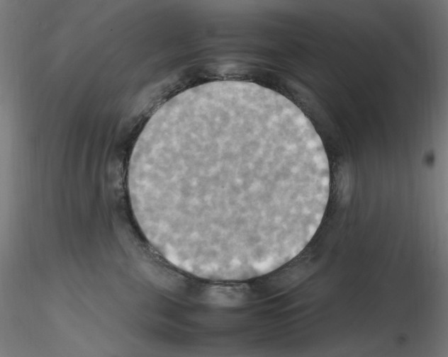 X0000115560571200912181620