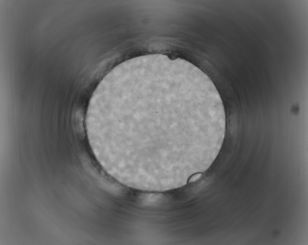 X0000115560575200912181620