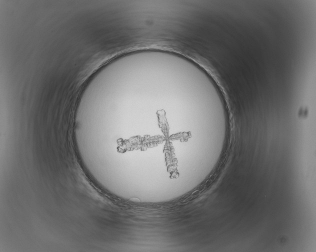 X0000115560577200912181619