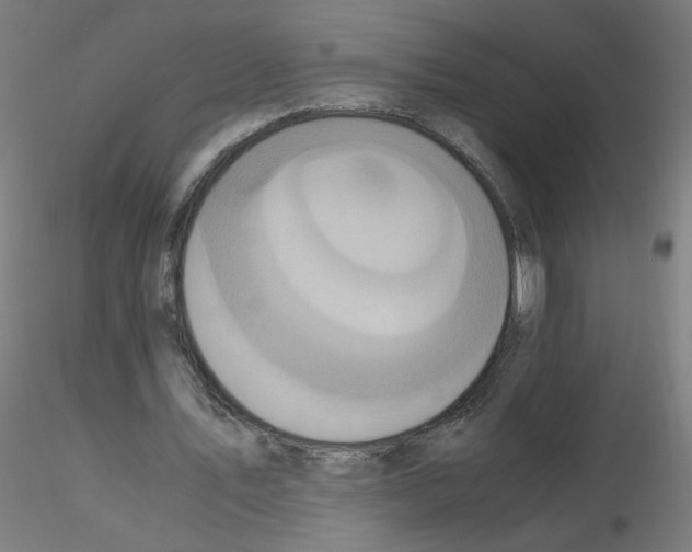 X0000115560579200912181619