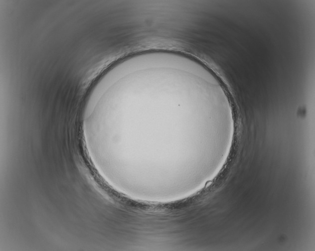 X0000115560581200912181619