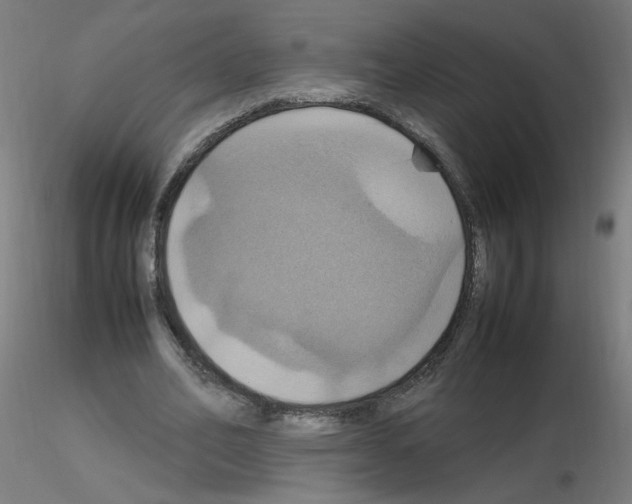 X0000115560582200912181619