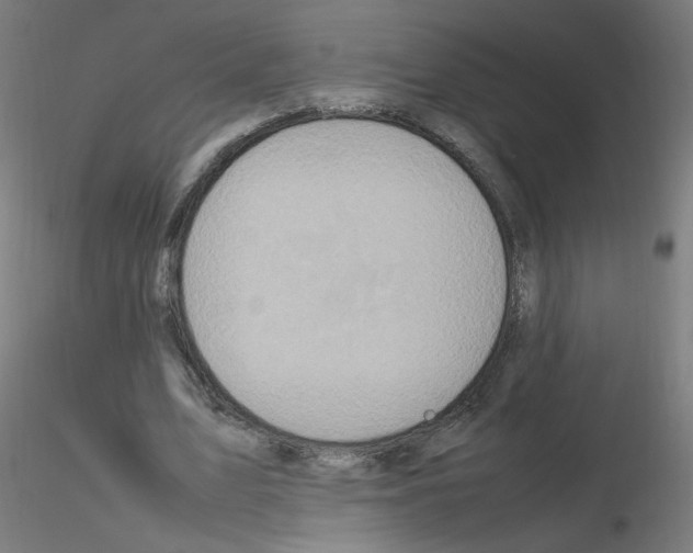 X0000115560583200912181619