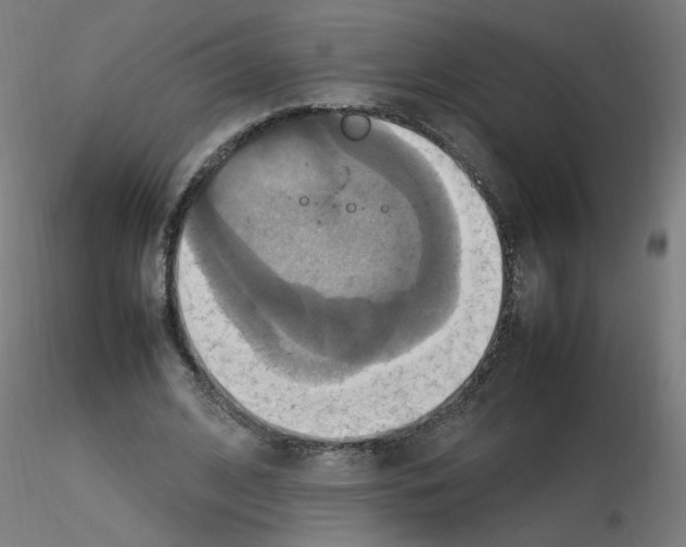 X0000115560584200912181619